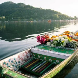 srinagar-tour-operators-500x500